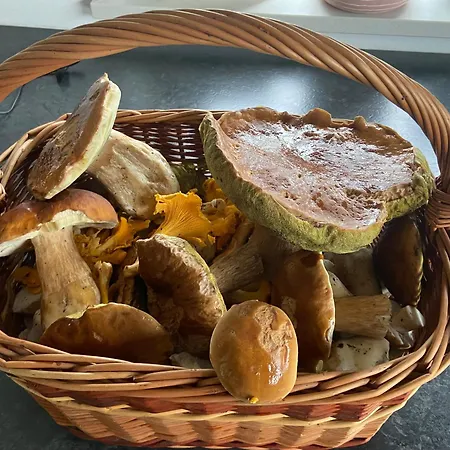 Kaszuby Na Wczasowej Tatil Evi *