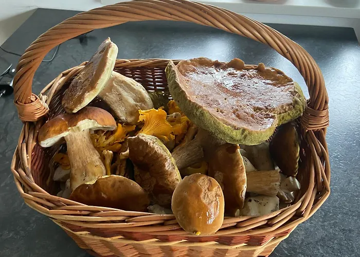 Kaszuby Na Wczasowej Semesterbostad *